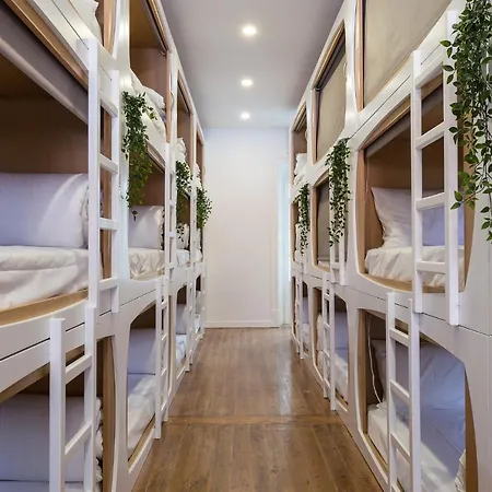 The Mulberry Tree Hostel Lisbon