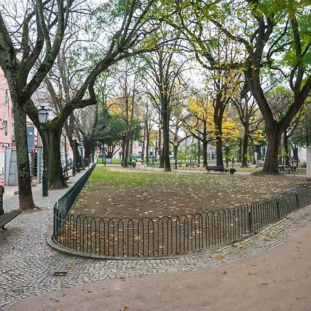 Хостел The Mulberry Tree *